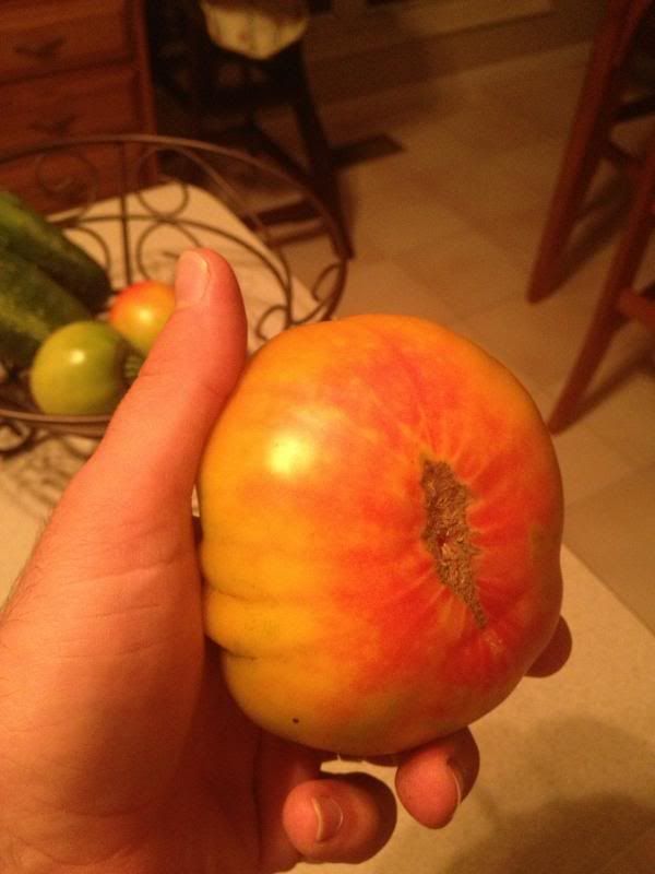  photo 002_zps215914a2.jpg